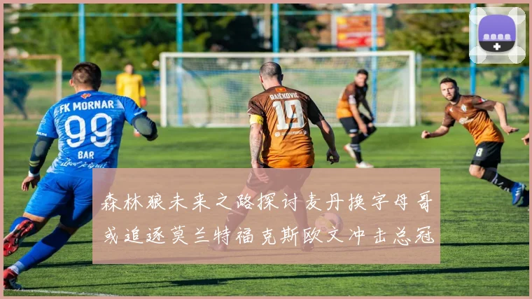 森林狼未来之路探讨麦丹换字母哥或追逐莫兰特福克斯欧文冲击总冠军