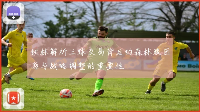 铁林解析三球交易背后的森林狼困惑与战略调整的重要性